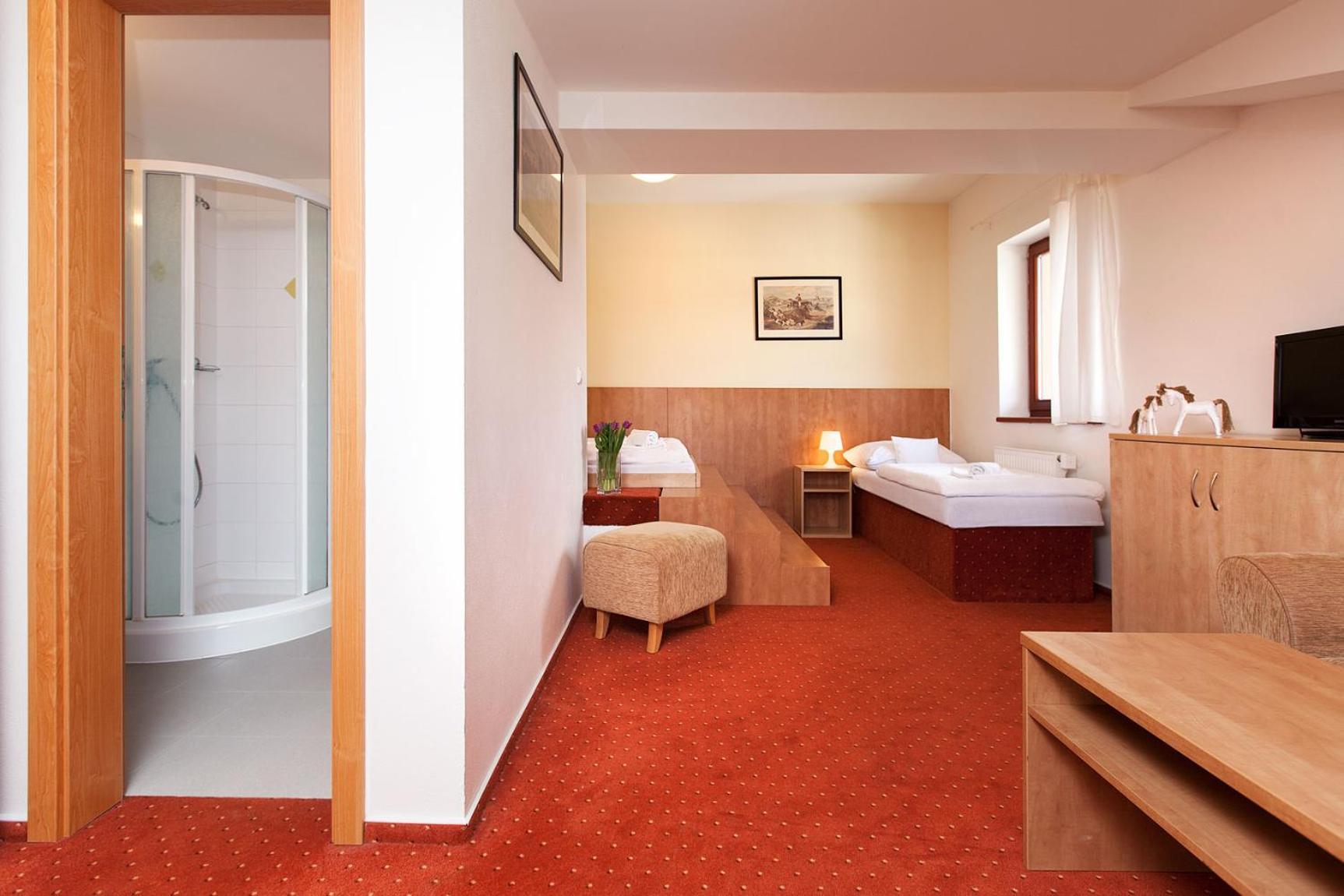 Hotel Panska Licha Отель Брно