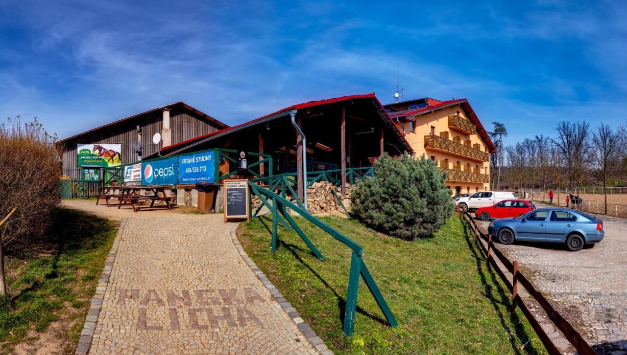 Отель Hotel Panska Licha 3*