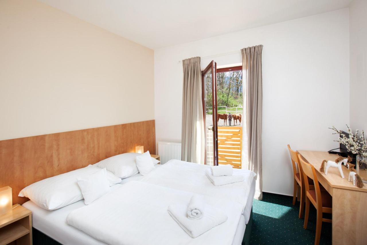 Hotel Panska Licha 3* Брно